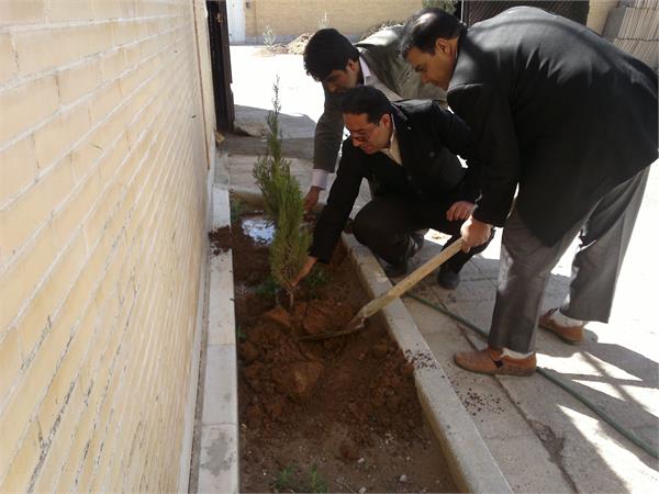 درختکاری