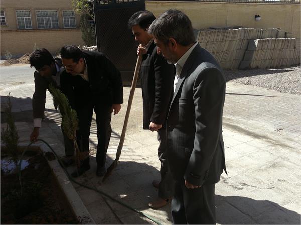 درختکاری