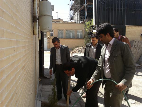 درختکاری2