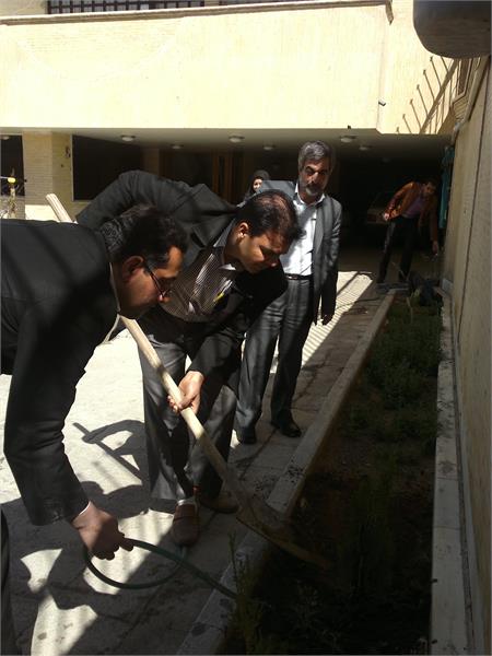 درختکاری
