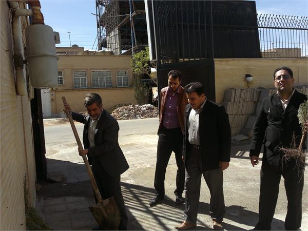 درختکاری