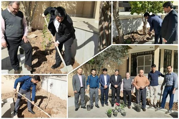 گرامیداشت روز درختکاری در اداره کل ارتباطات و فناوری اطلاعات استان یزد