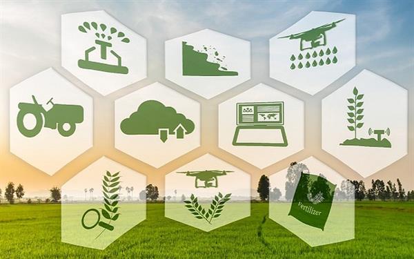 نقش فناوری اطلاعات در توسعه و تکمیل اکوسیستم بخش کشاورزی و افزایش بهره وری