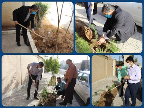 گرامیداشت روز درختکاری در اداره کل ارتباطات و فناوری اطلاعات استان یزد